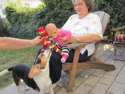 Everyone head butt the sock monkey